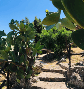 Cards-4